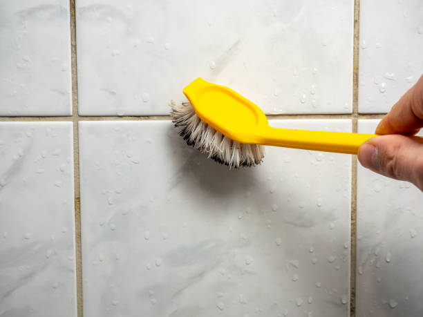 Best Certified Mold Removal  in Rose Hill, VA