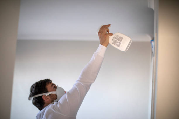 Best Home Mold Removal  in Rose Hill, VA